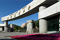 新疆农业大学